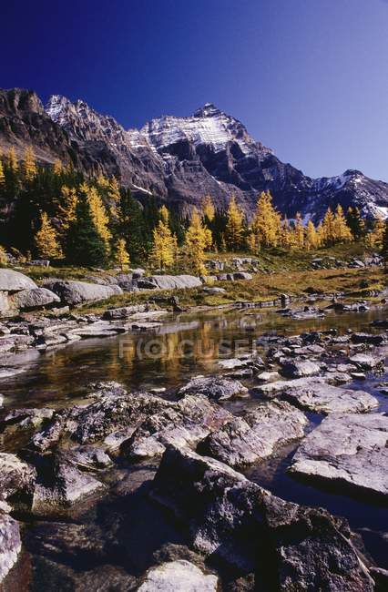 Río de montaña con piedras - foto de stock