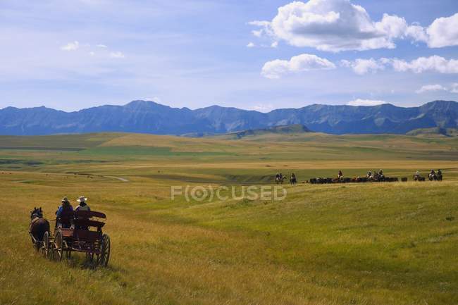 Cowboys et Wagon sur une promenade de bétail — Photo de stock