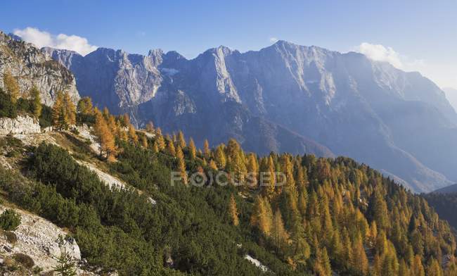 Montagnes Rocheuses — Photo de stock