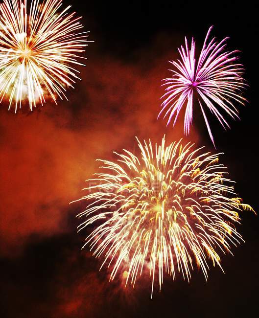 Fireworks display in night sky — Stock Photo