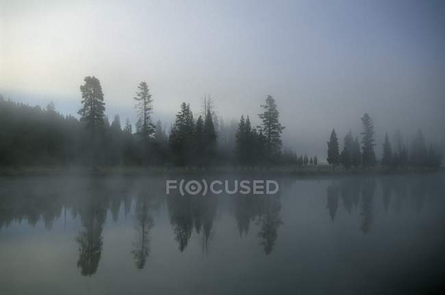 Nebbia mattutina sul fiume — Foto stock