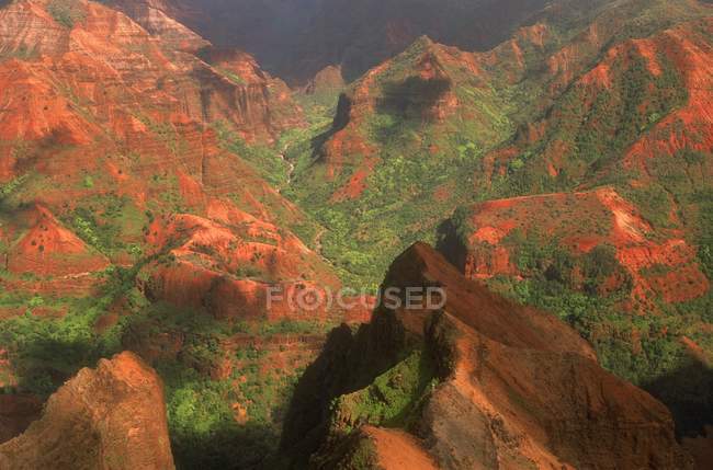 Picos e vales com plantas verdes — Fotografia de Stock
