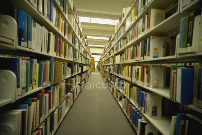 Полки с книгами в большой публичной библиотеке — стоковое фото