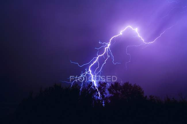 Blitzschlag über Bäume — Stockfoto
