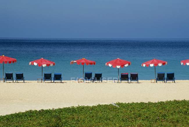 Sombrillas y sillas en la playa - foto de stock