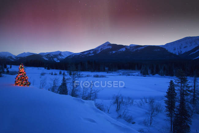 Albero di Natale sotto l'aurora boreale — Foto stock