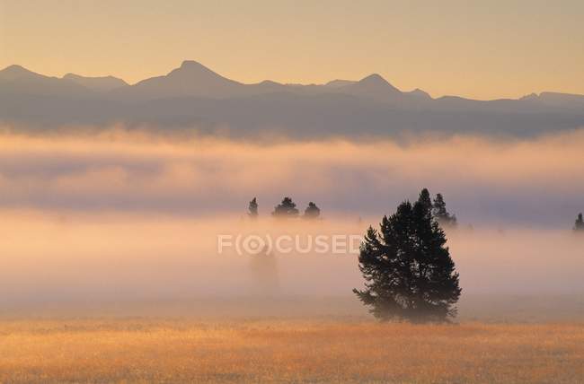 Туман на рассвете в долине Пеликан — стоковое фото