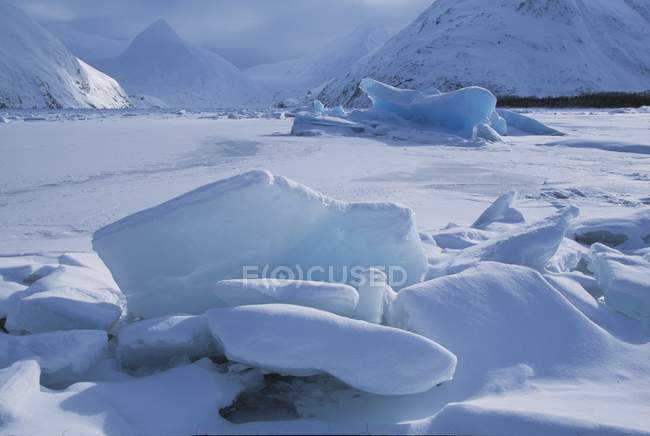 Айсберги в замёрзшем озере — стоковое фото