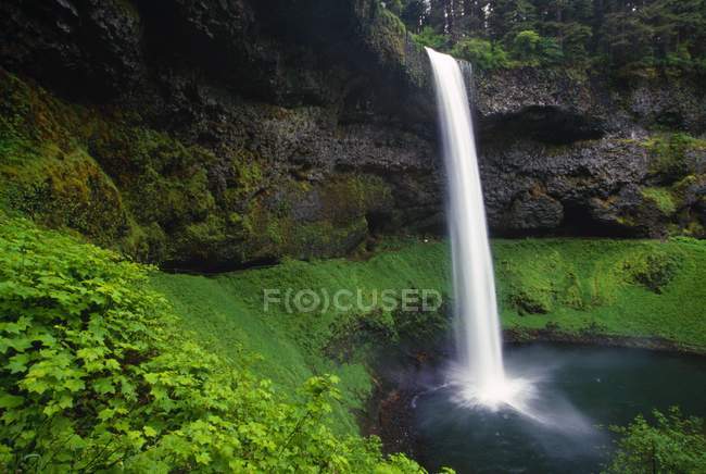 Water falls from cliff into pond — Stock Photo