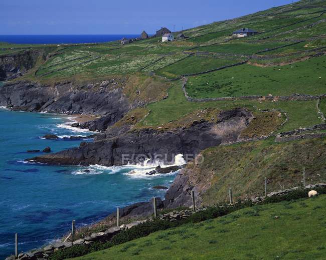 Irische Landschaft aus Steinmauern — Stockfoto