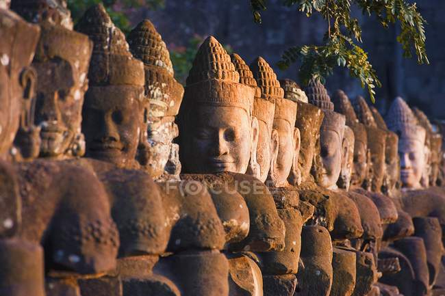 Tête de Bouddha Statues, siem moissonnent — Photo de stock