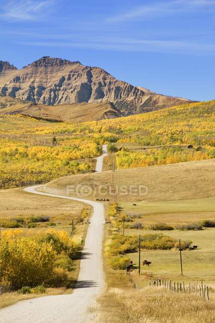 Rural Road Into Mountains — Stock Photo