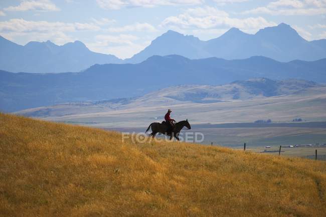 Cowboy a cavalo, Alberta, Canadá — Fotografia de Stock