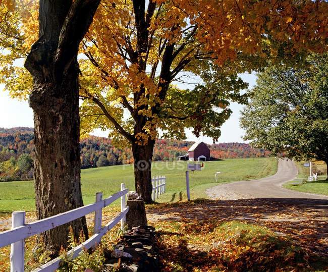Ländliche Herbstlandschaft — Stockfoto