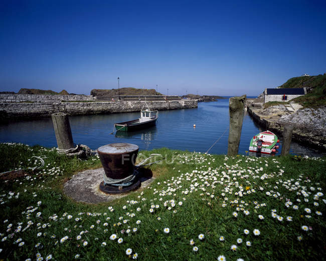 Vue du port de Ballintoy — Photo de stock