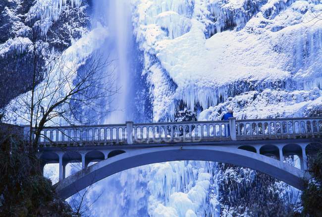 Мост и водопады зимой — стоковое фото