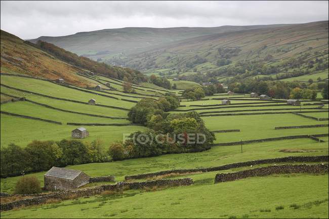 Terras agrícolas em Valley, Yorkshire Dales — Fotografia de Stock