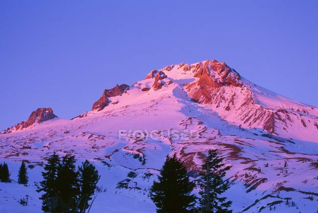 Alpenglow en el monte Hood - foto de stock