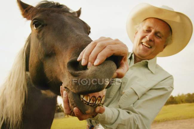 Cavallo che mostra denti — Foto stock