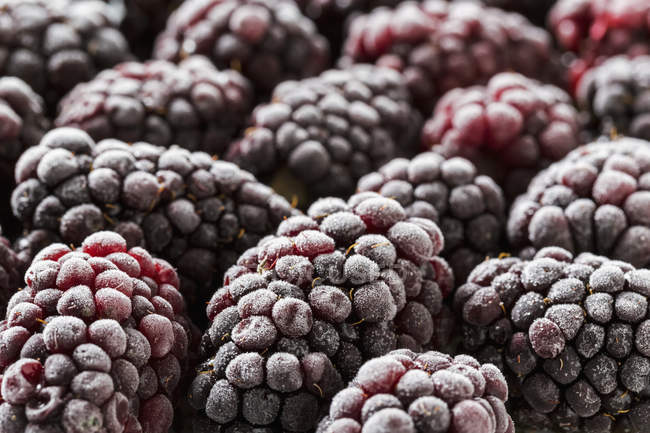 Closeup of frosted tasty blackberries heap — Stock Photo