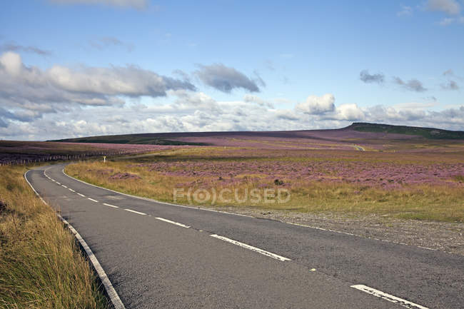 Road winding through Heather landscape — Stock Photo