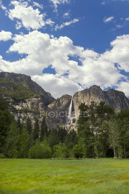 Yosemite Falls and meadow — Stock Photo
