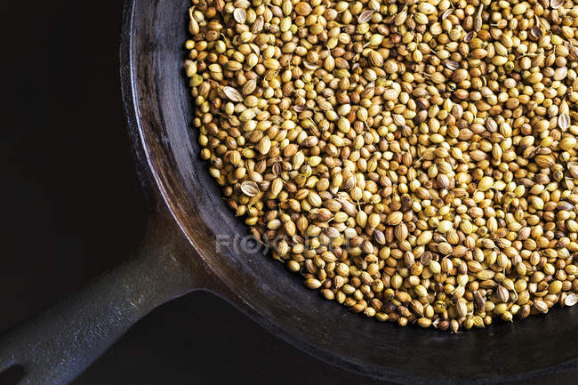 Closeup of cast iron skillet with coriander seeds — Stock Photo