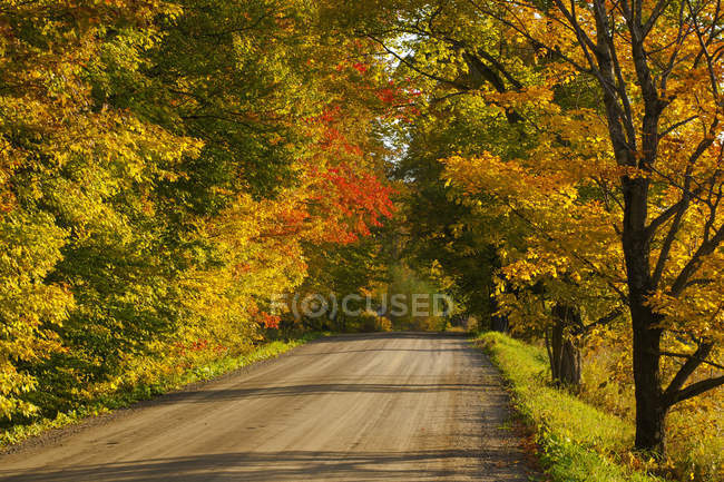 Загородная дорога осенью — стоковое фото