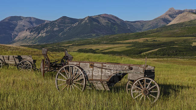 Old wagons in fields in foothills — Stock Photo