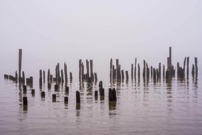 Туман скрывает реку Колумбия — стоковое фото