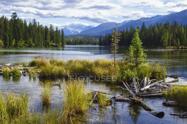 Beauvert lake, jasper nationalpark; jasper, alberta, canada — Stockfoto