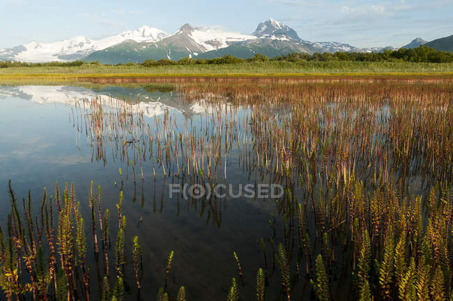Аляскинский пейзаж с горами, отраженными в спокойной воде — стоковое фото