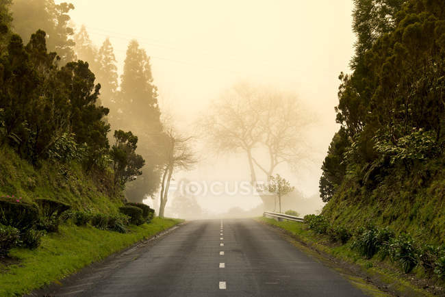 Nevoeiro diurno no final da estrada — Fotografia de Stock