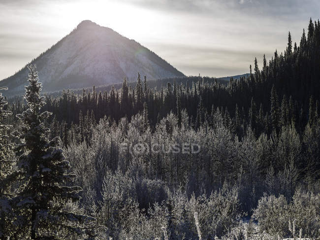 Pico de montaña bajo la luz del sol - foto de stock