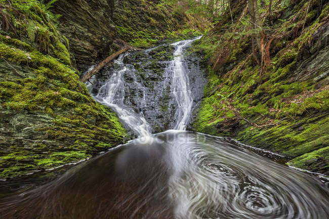 Водопад и бассейн в лесу — стоковое фото
