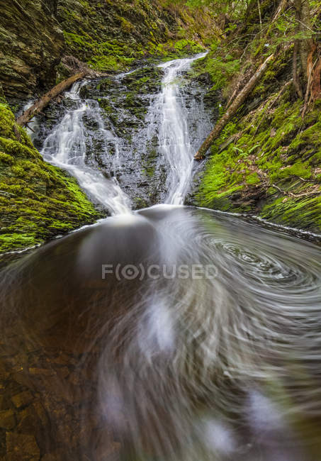 Cachoeira e piscina na floresta — Fotografia de Stock