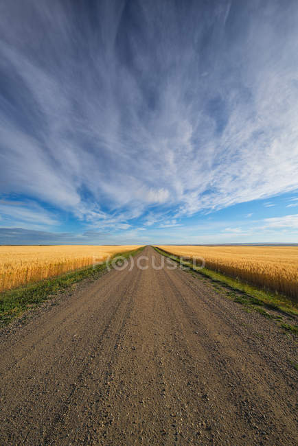 Schotterweg über Feld — Stockfoto