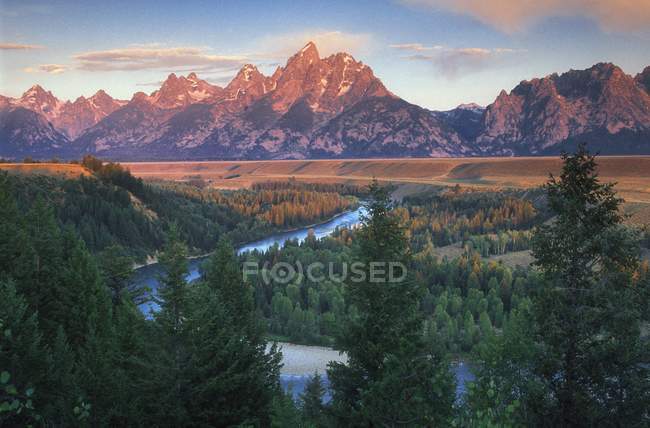 Forest And Mountain Range — Stock Photo