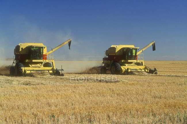 Combine Harvesters working — Stock Photo
