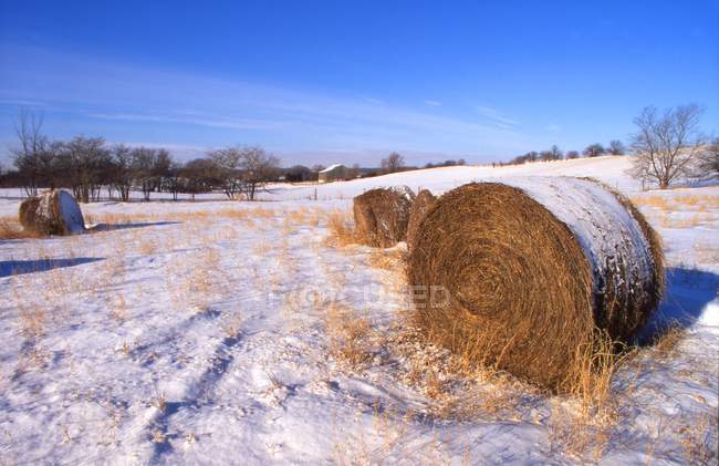 Schneebedeckte Felder — Stockfoto