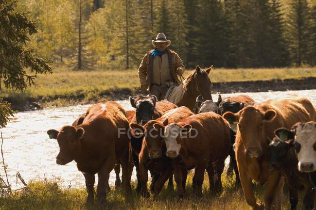 Hombre en sombrero montando a caballo - foto de stock