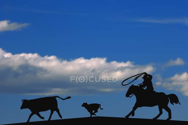 Silhouette Of Rancher Roping — Stock Photo