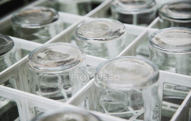 Bicchieri in un vassoio della lavastoviglie — Foto stock