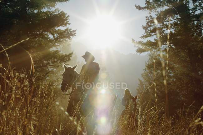 Man on Horseback Riding — Stock Photo