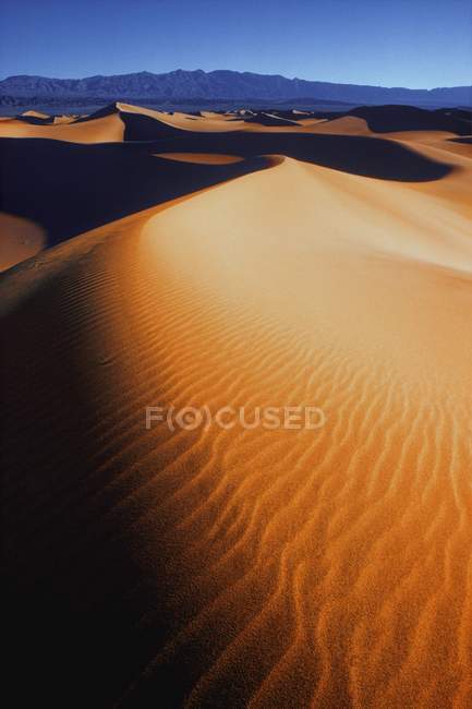 Ondas en la arena del desierto - foto de stock