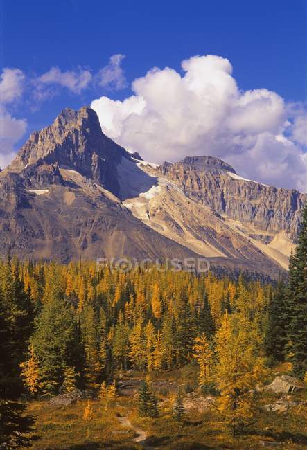 Uma vista panorâmica da montanha — Fotografia de Stock