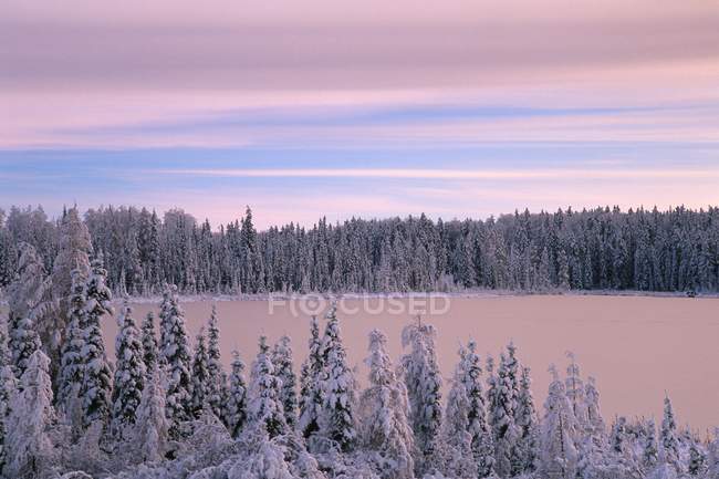Lago congelado no inverno — Fotografia de Stock