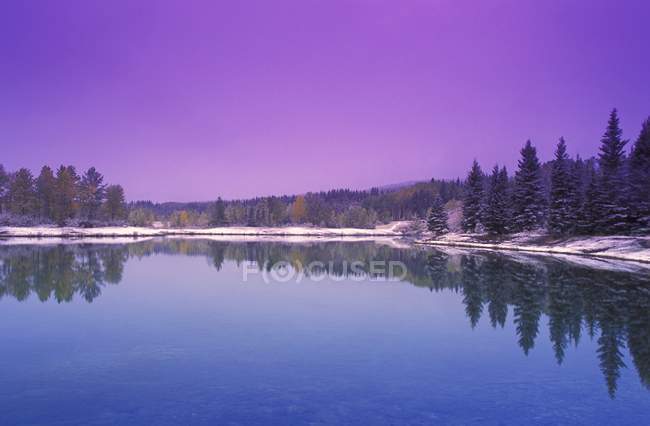 Зимова сцена з озером — стокове фото