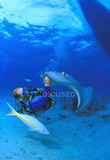 Plongée sous-marine sur le sol — Photo de stock