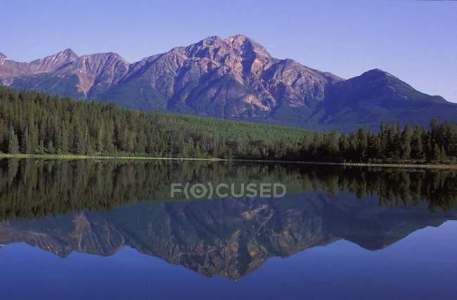 Montagne Alberi E Lago — Foto stock